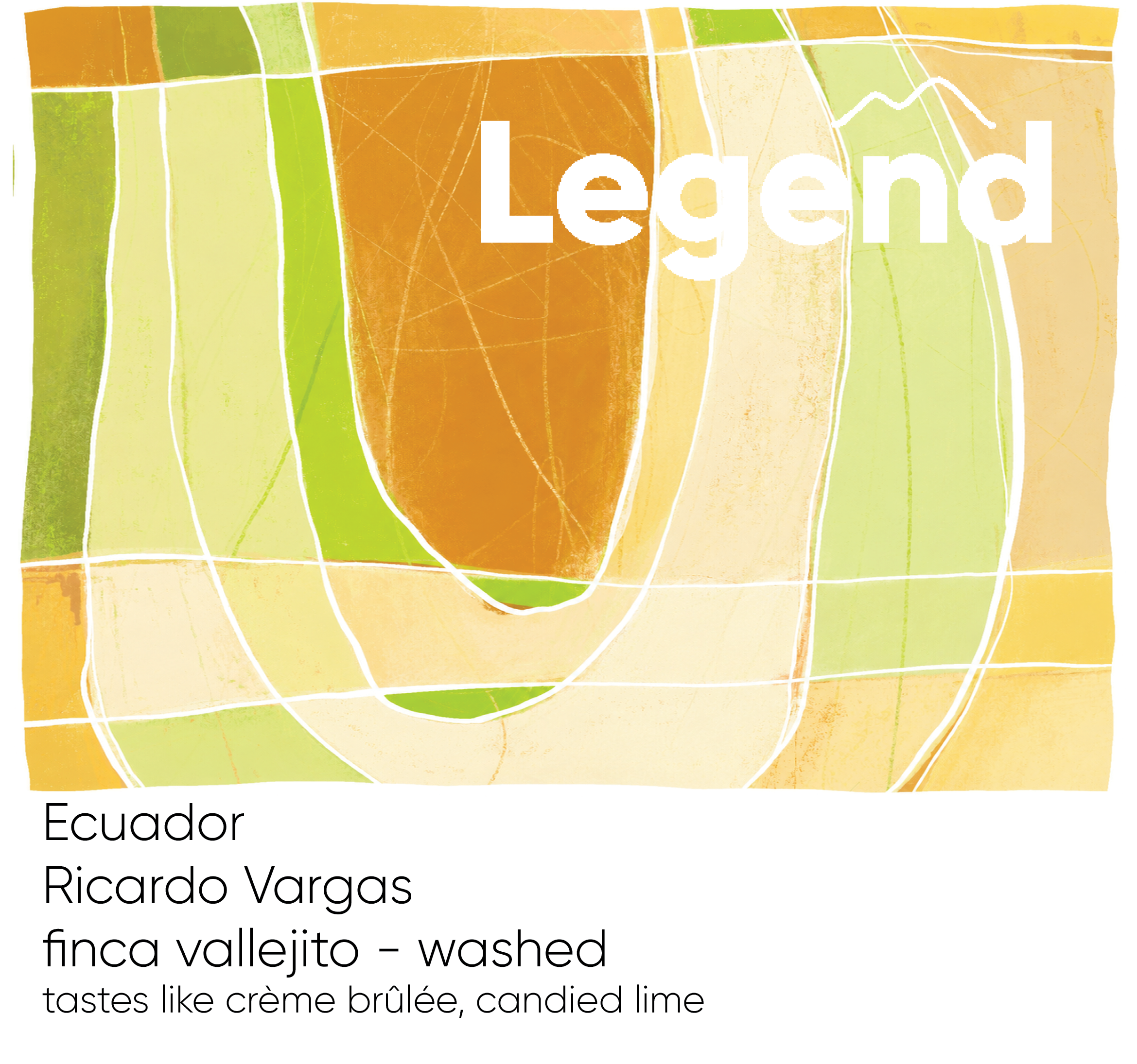 Photo of Ecuador Ricardo Vargas - Washed