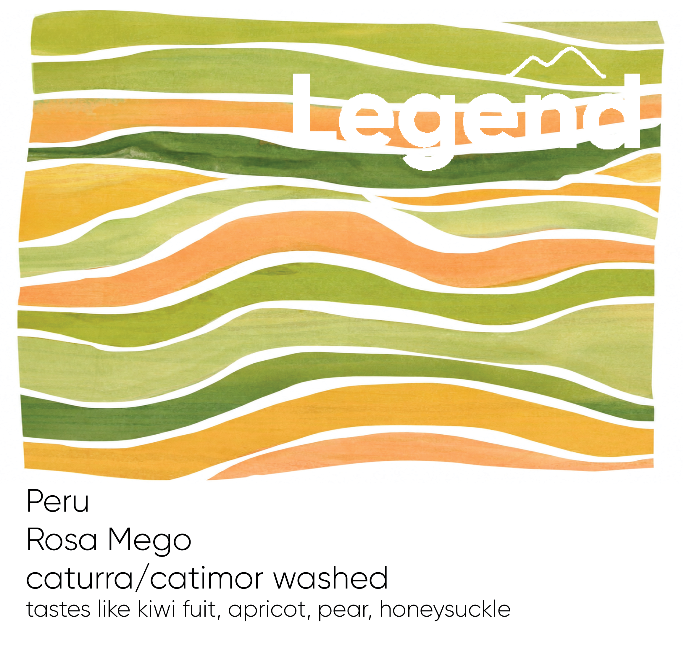 Photo of Peru Rosa Mego - finca el eucalipto, washed