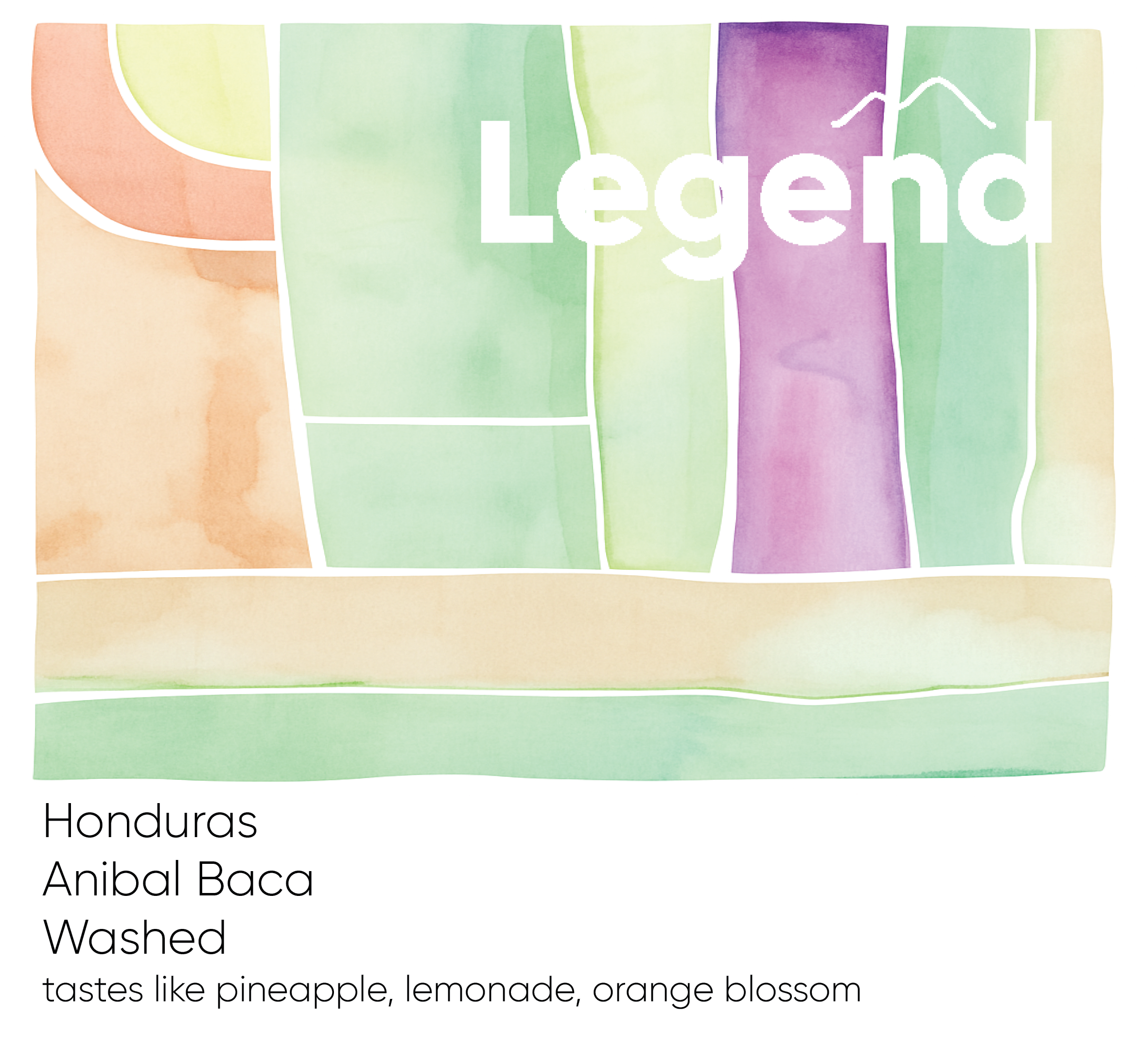 Photo of Honduras Anibal Baca - Washed
