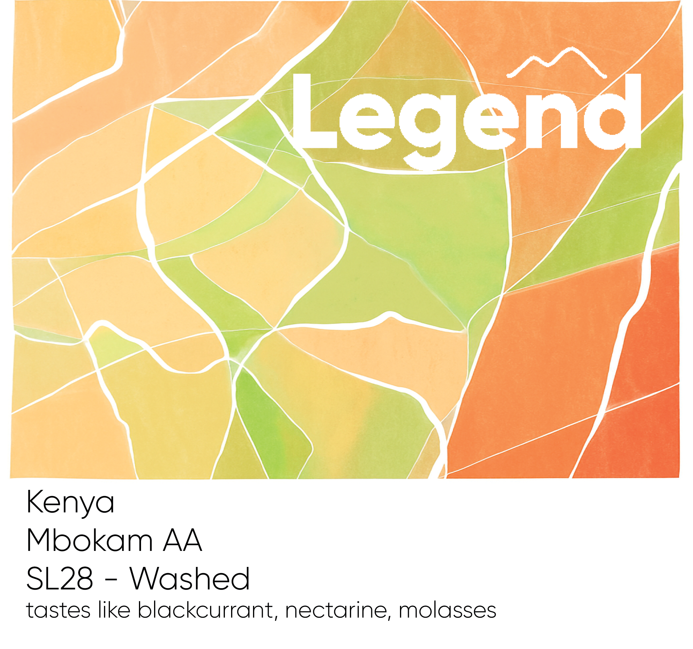Photo of Kenya Mbokam AA
